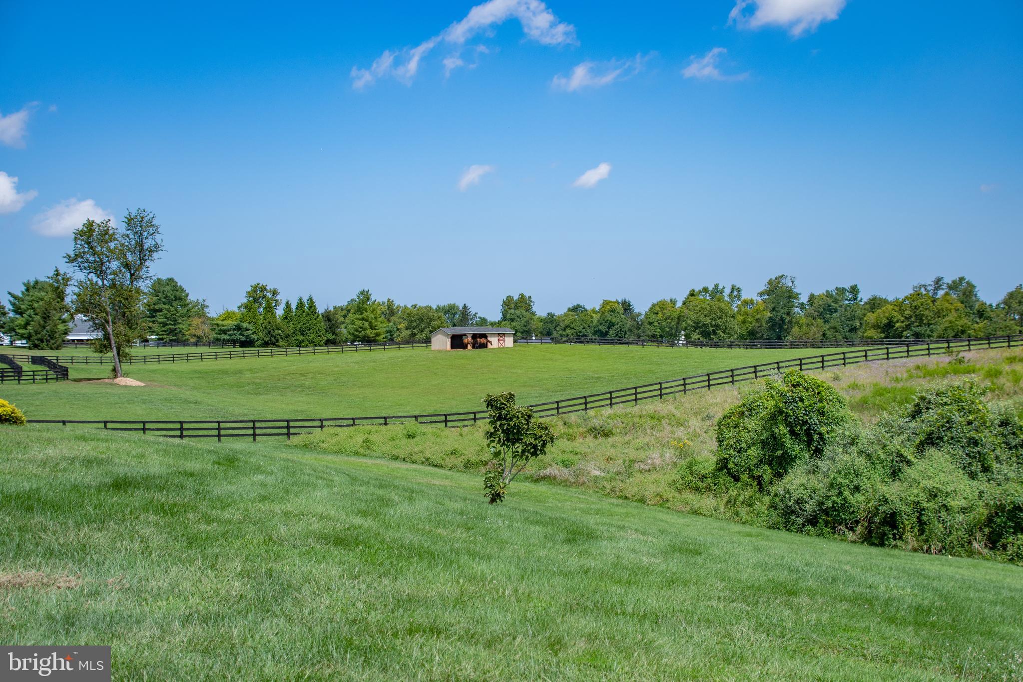 21232 Unison Road Middleburg, VA 20117 - Photo 92 of 123