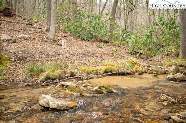$124,900 | Lot 2 Wildcat Wilderness Parkway, Deep Gap, NC 28618