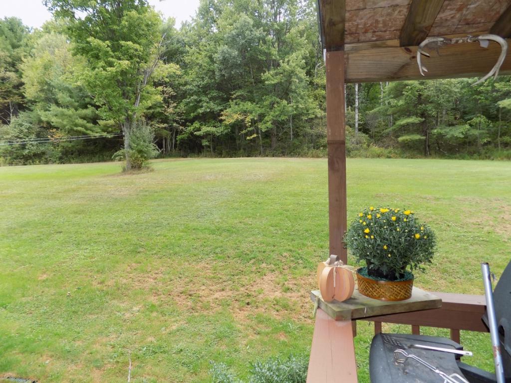 379 Cloverdale Road Chenango Forks, NY 13746 - Photo 17 of 19 Gallery Image 17