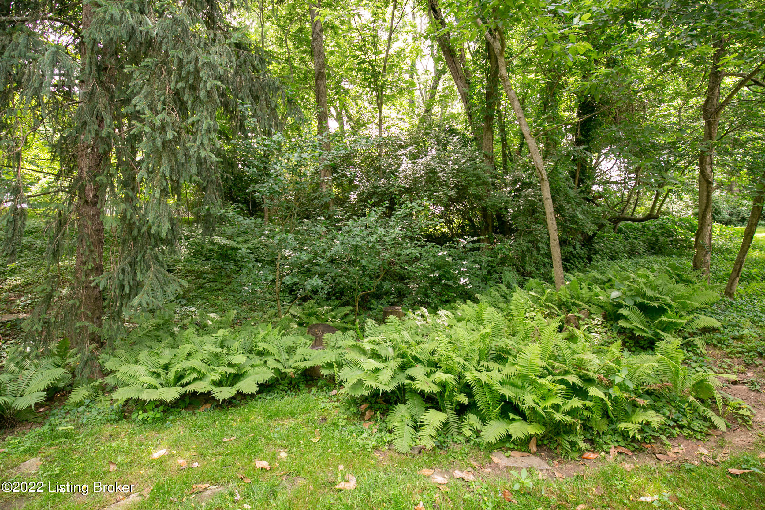1003 Devon Road Goshen, KY 40026 - Photo 72 of 77 Fern Garden