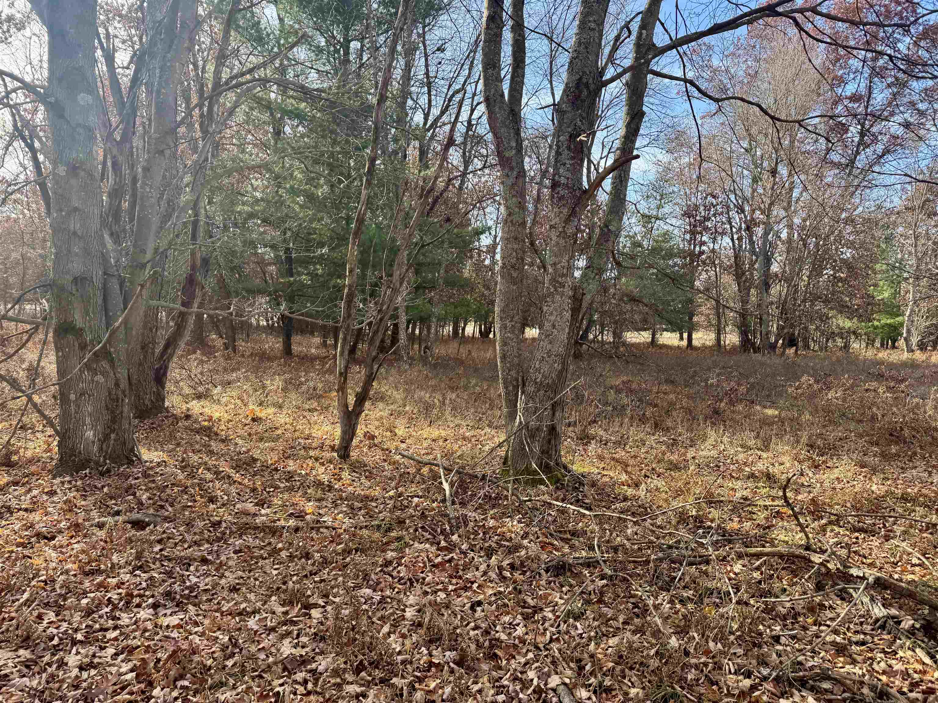 Parcel E West Rosted Road Lake City, MI 49651 - Photo 3 of 23