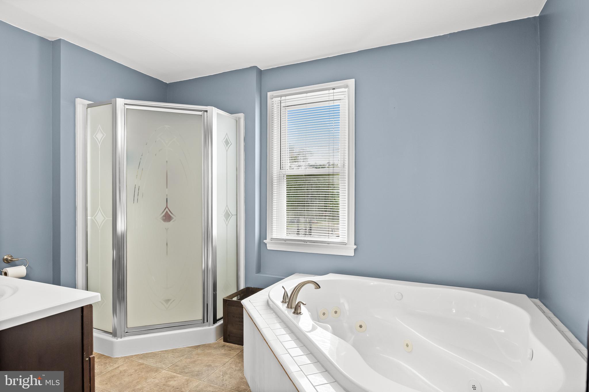 23 West Mill Road Maple Shade, NJ 08052 - Photo 15 of 29 Primary bathroom with jetted tub!