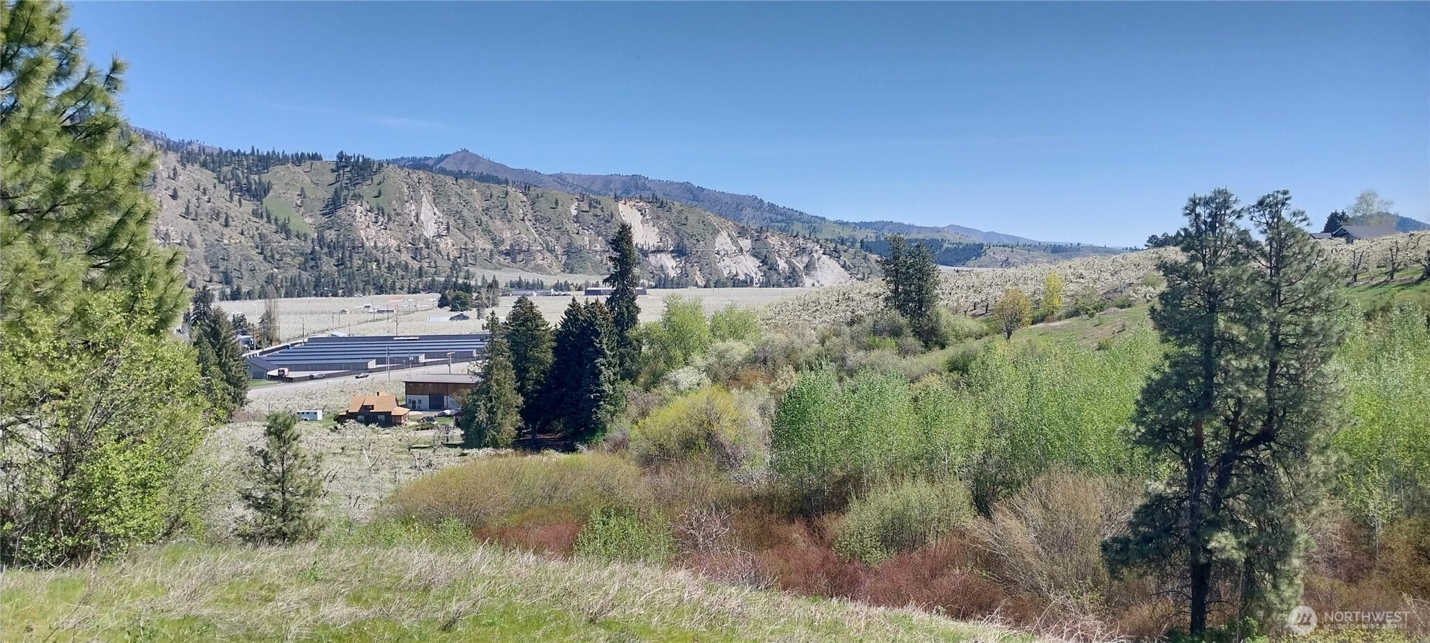 8010 Green Road Peshastin, WA 98847 - Photo 7 of 15