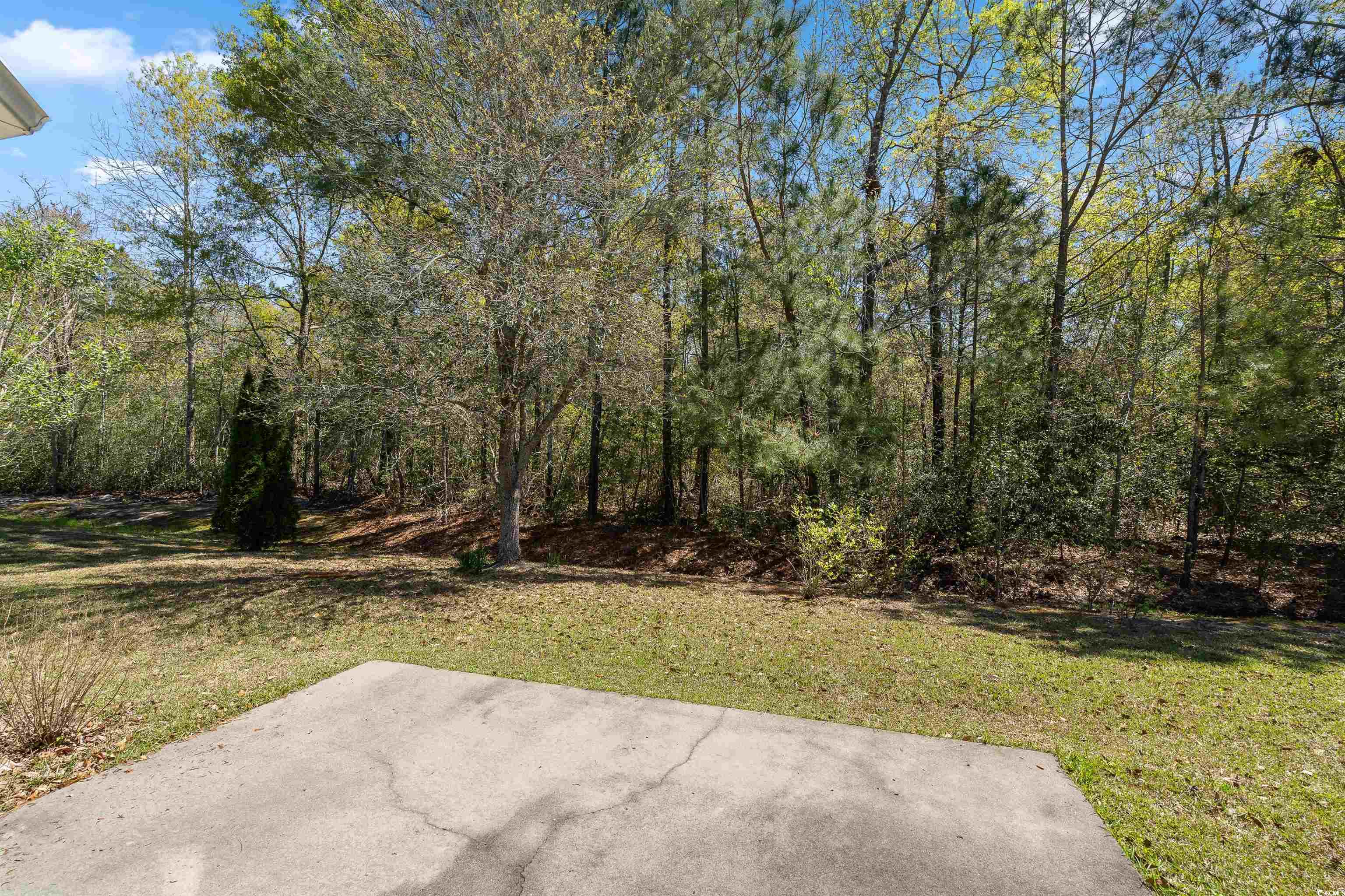 169 Black Bear Road Myrtle Beach, SC 29588 - Photo 38 of 40 Gallery Image 38