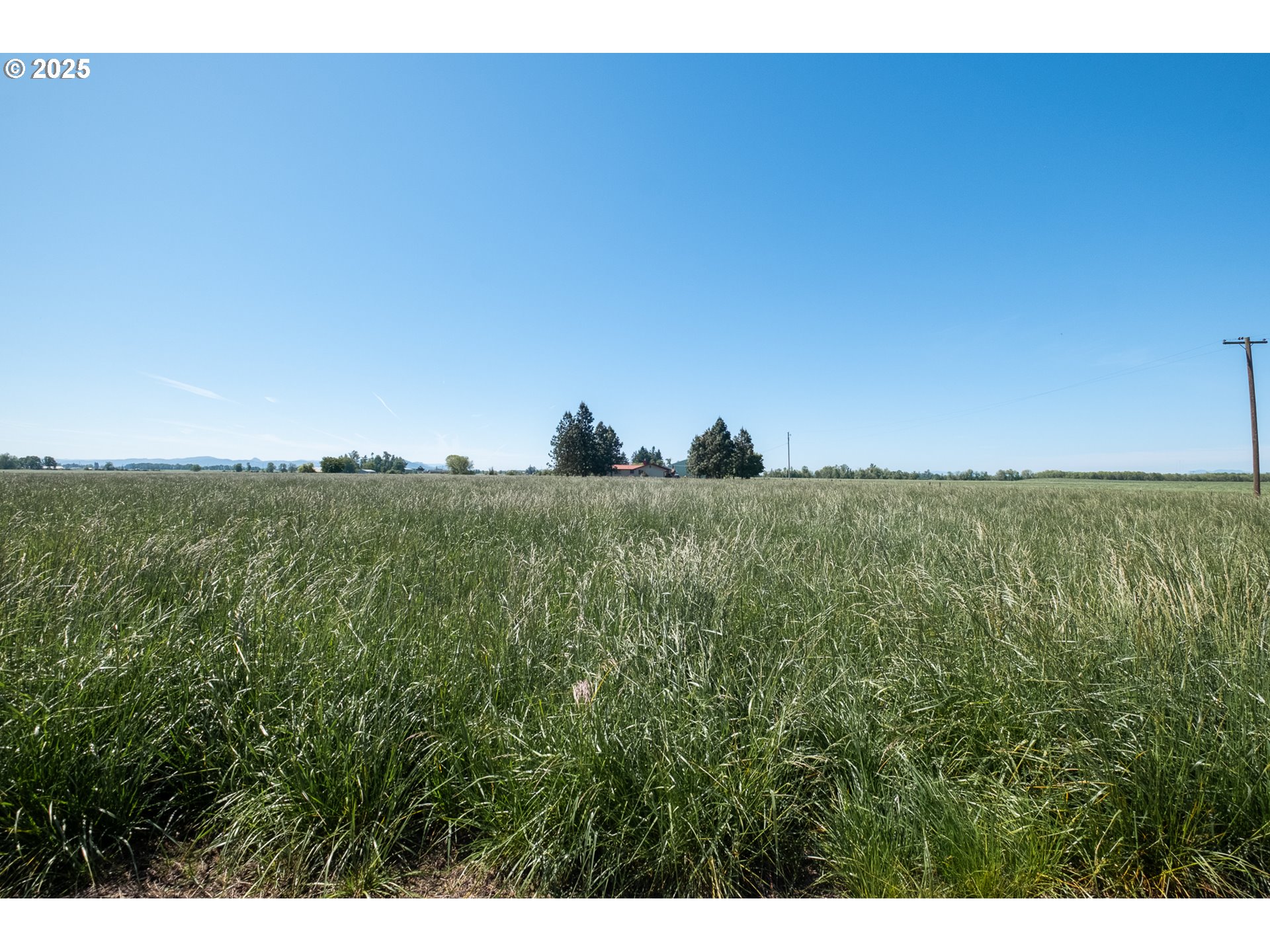 35420 Knox Butte Road East Albany, OR 97322 - Photo 34 of 43 Gallery Image 34