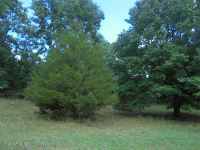 4546 Wheeler Road Belding, MI 48809 - Photo 17 of 40 DSC09563