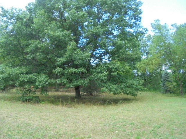 4546 Wheeler Road Belding, MI 48809 - Photo 18 of 40 DSC09571