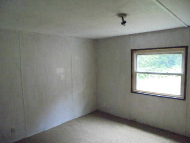 4546 Wheeler Road Belding, MI 48809 - Photo 25 of 40 DSC09604