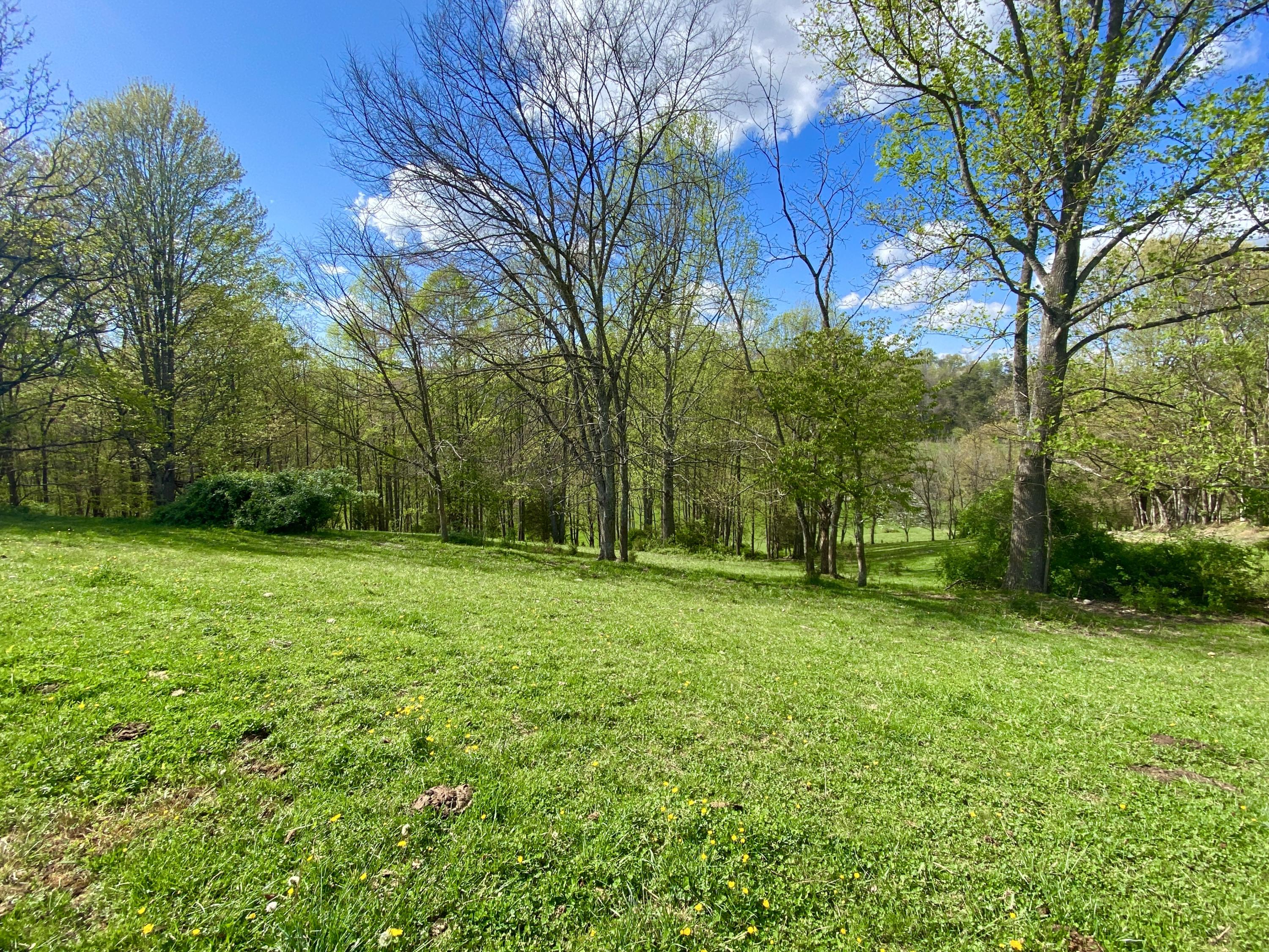 Tbd Glover Gibson Road Fall Branch, TN 37656 - Photo 5 of 27 IMG_3305