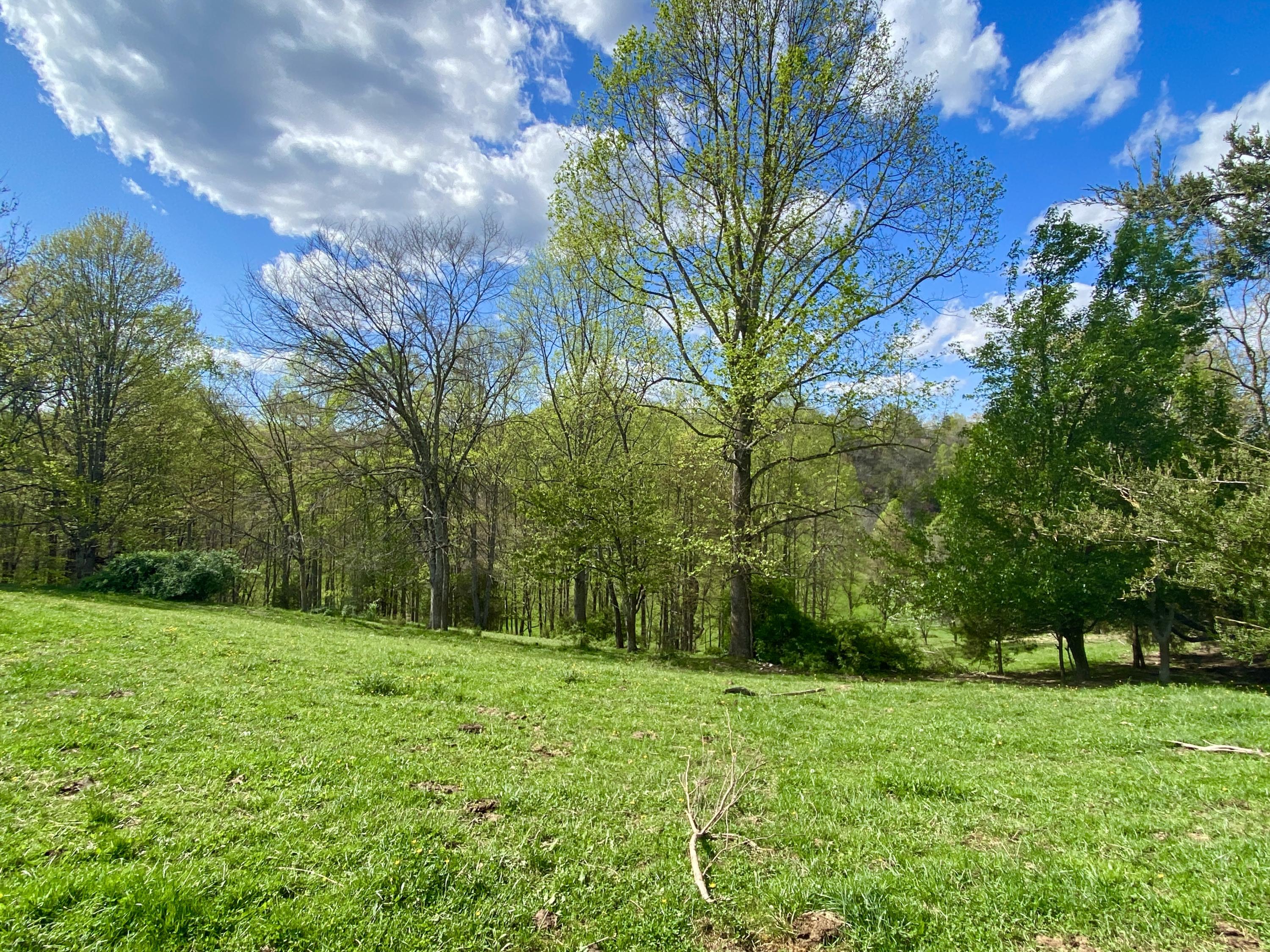 Tbd Glover Gibson Road Fall Branch, TN 37656 - Photo 9 of 27 IMG_3296