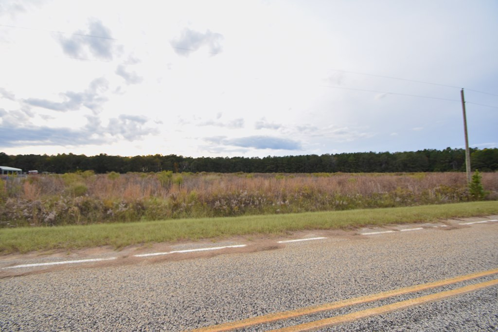 Lot 21 Bullrun Road Bishopville, SC 29010 - Photo 14 of 14 Gallery Image 14