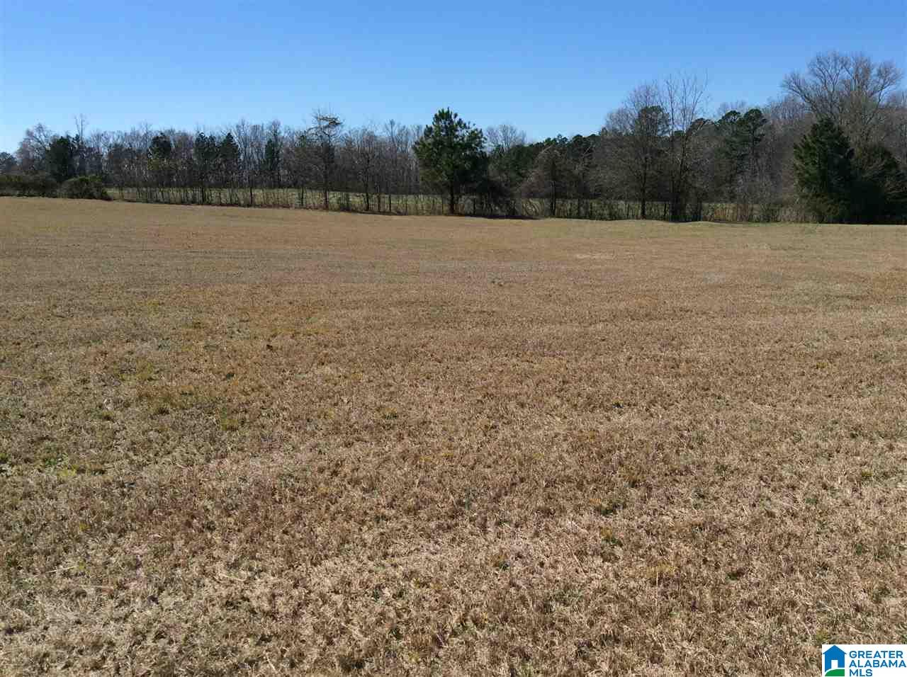 0 Coats Bend Road, Unit 1 Gadsden, AL 35901 - Photo 7 of 20