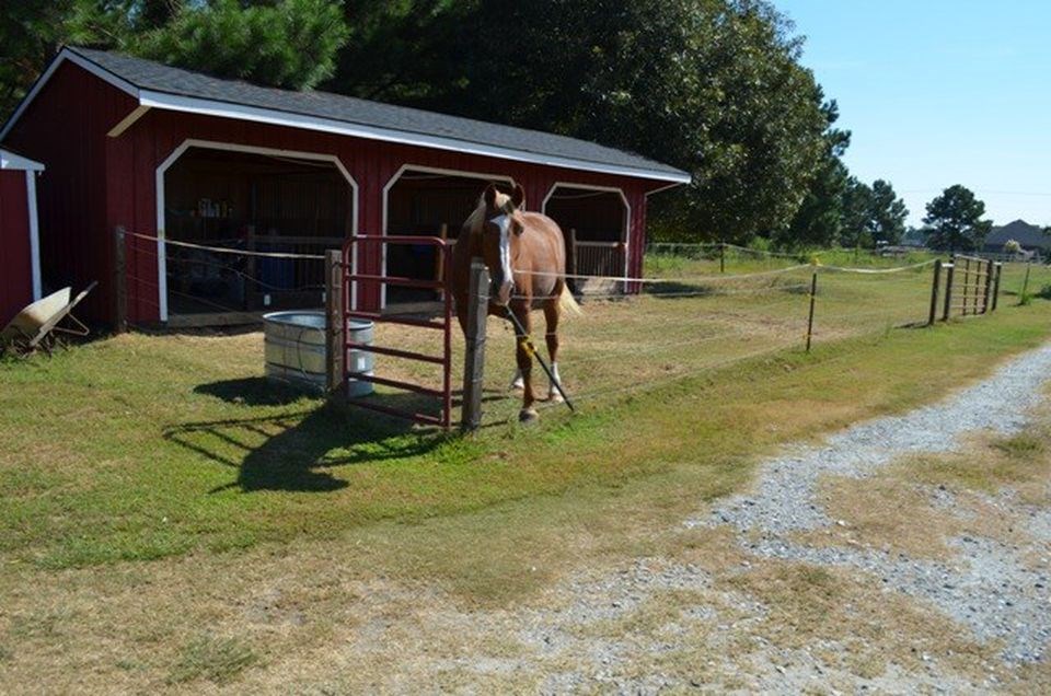 92 McLendon Road Fort Mitchell, AL 36856 - Photo 13 of 16 a view of backyard with slide
