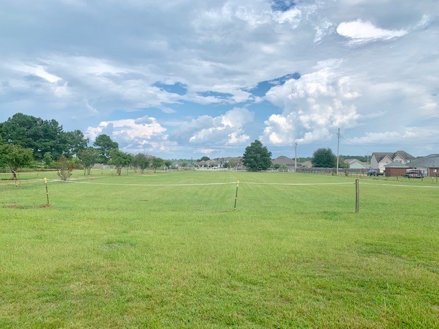 92 McLendon Road Fort Mitchell, AL 36856 - Photo 16 of 16 a view of a golf course with a lake