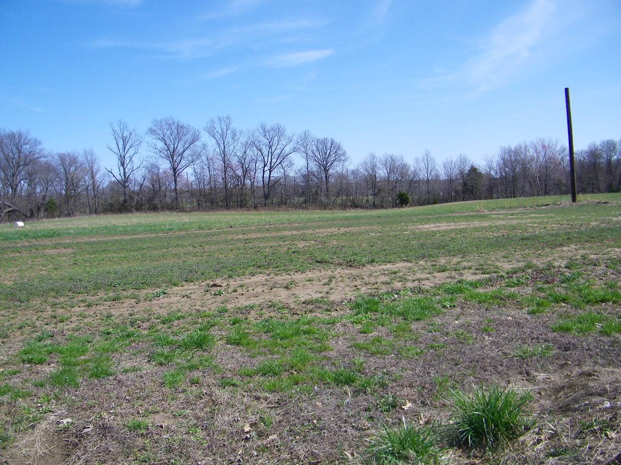 18500 Fowler School Road Pittsburg, IL 62974 - Photo 13 of 39