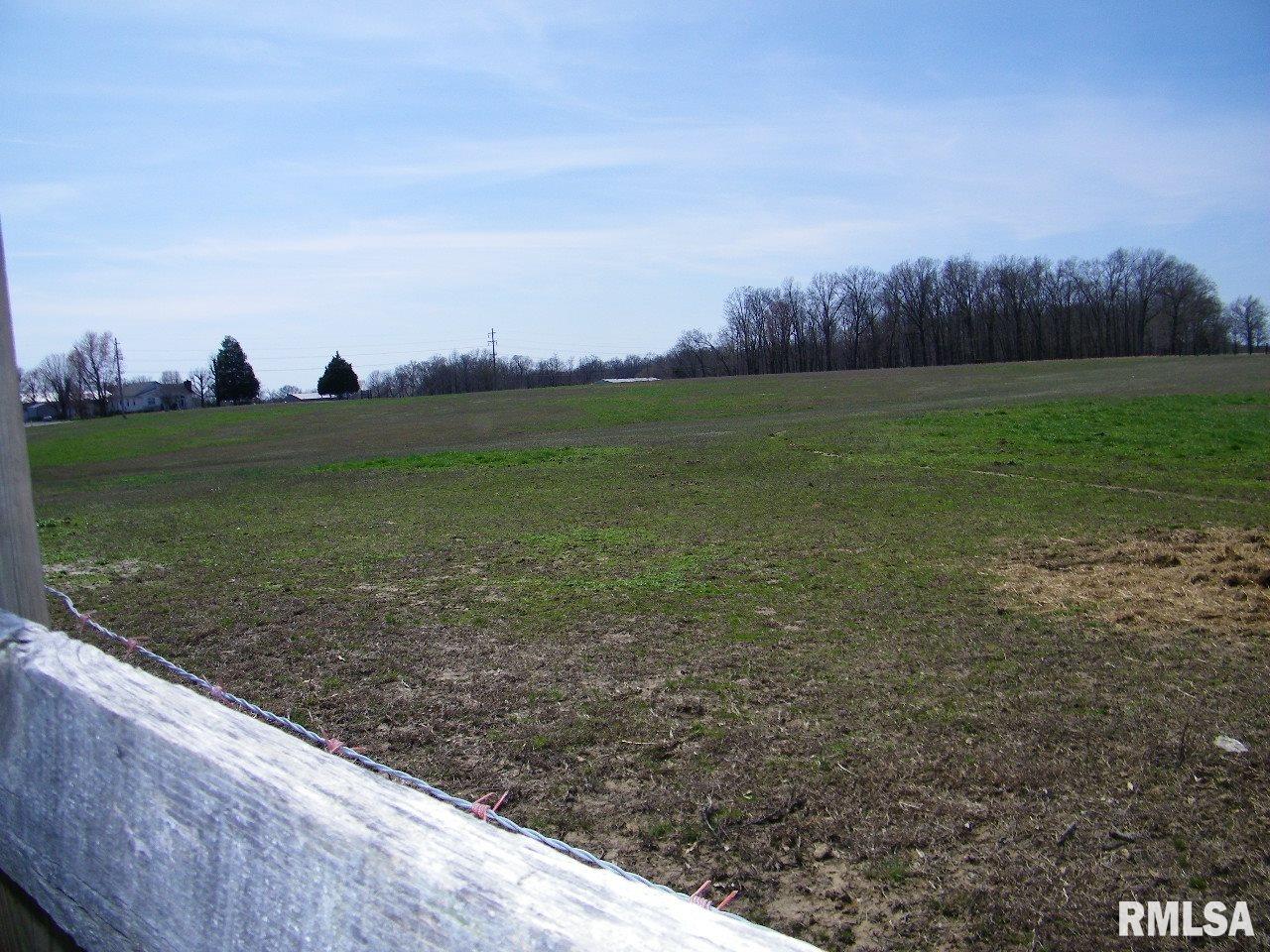 18500 Fowler School Road Pittsburg, IL 62974 - Photo 19 of 39