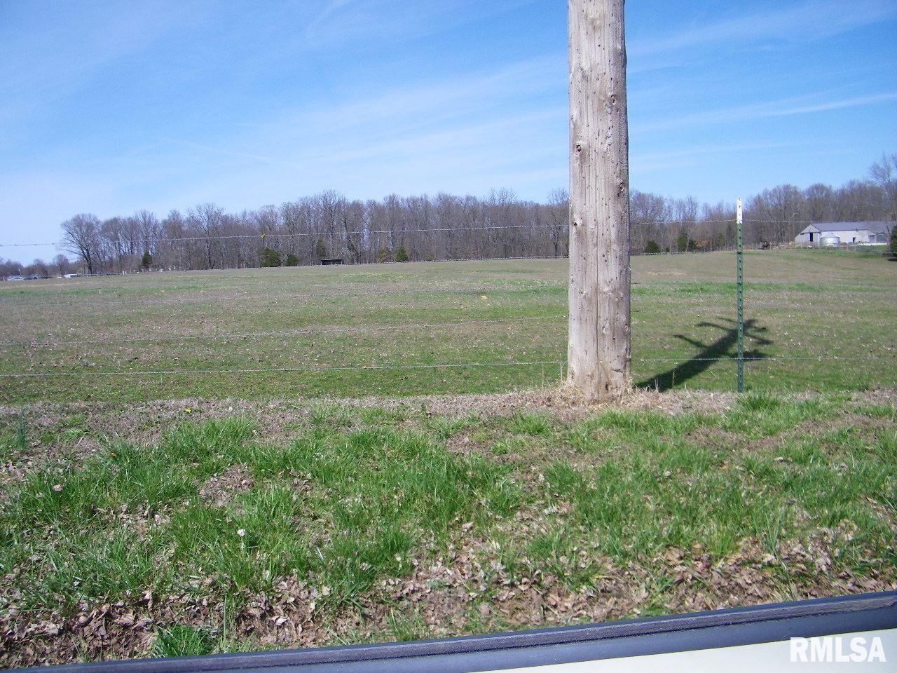 18500 Fowler School Road Pittsburg, IL 62974 - Photo 31 of 39