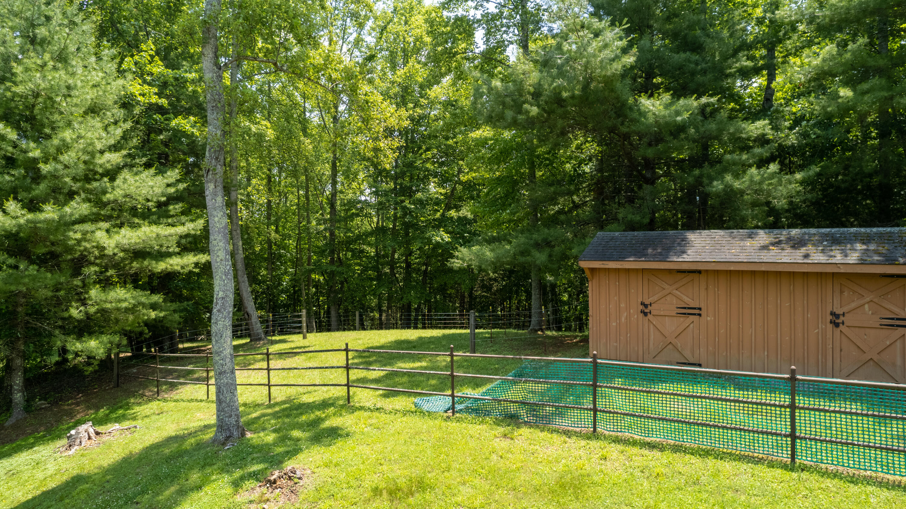 3398 Buntontown Road Butler, TN 37640 - Photo 42 of 54 WBP-Buntontown-Rd (51 of 55)