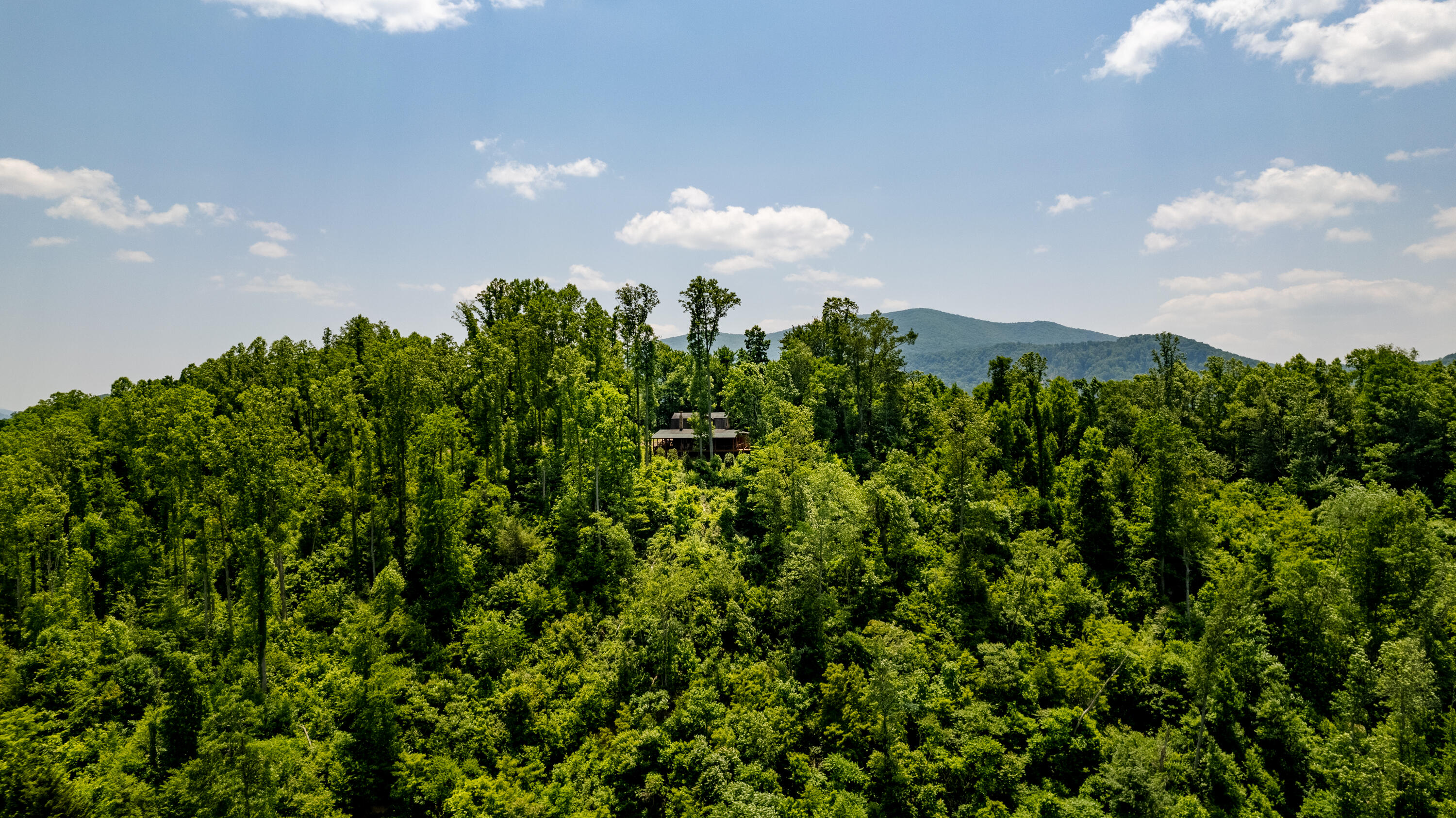 3398 Buntontown Road Butler, TN 37640 - Photo 53 of 54 WBP-Buntontown-Rd (41 of 55)