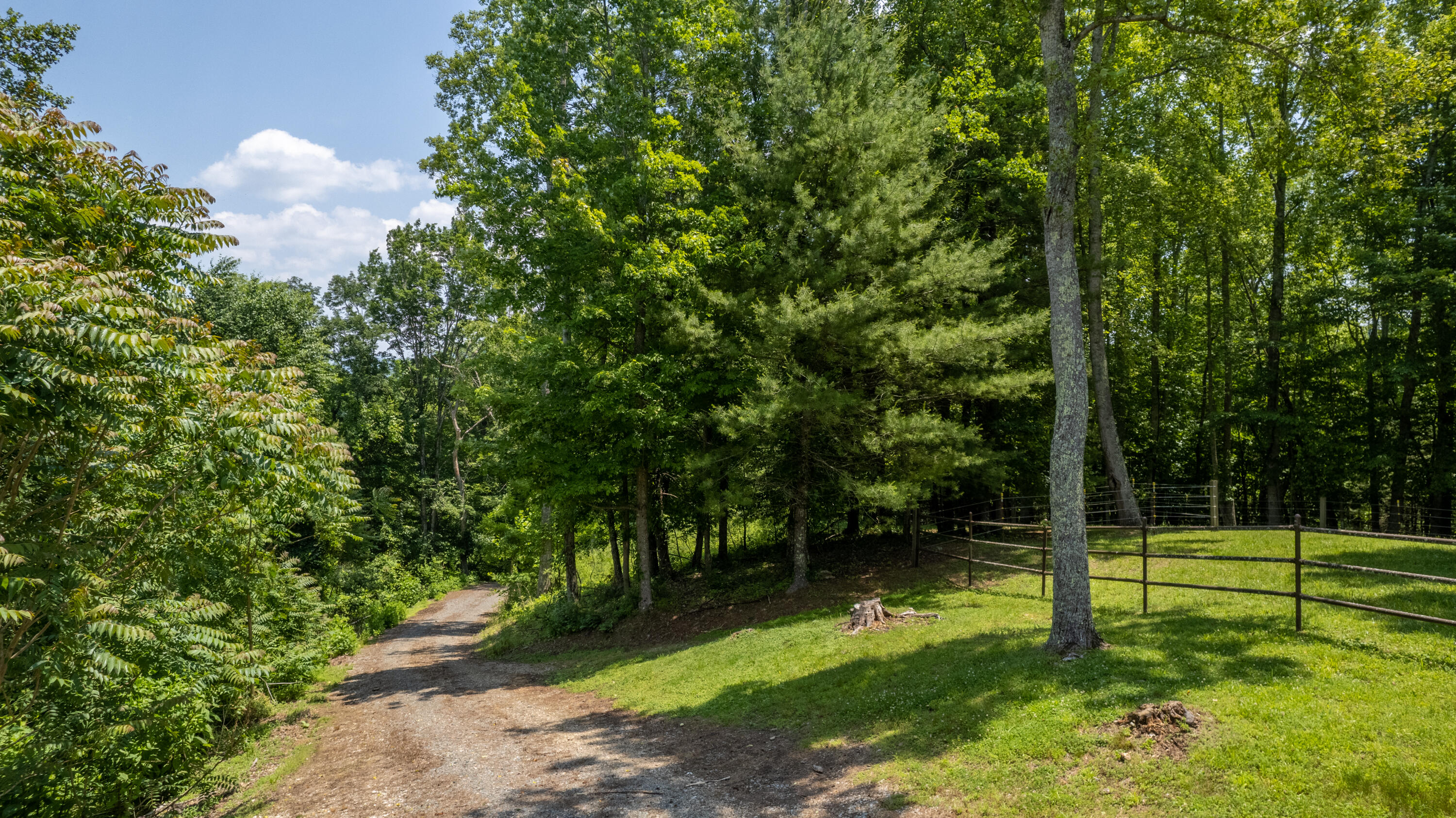 3398 Buntontown Road Butler, TN 37640 - Photo 8 of 54 WBP-Buntontown-Rd (52 of 55)