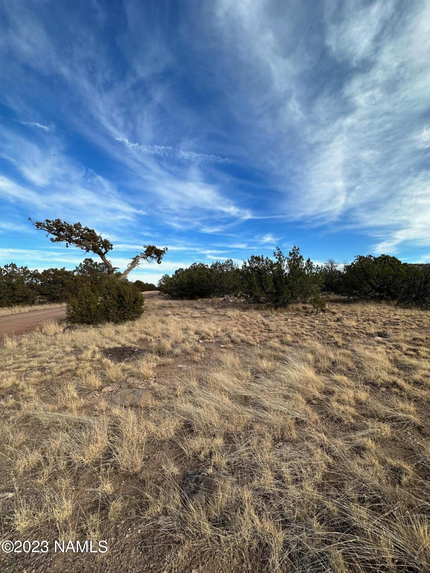 1094 East Cedar Road Williams, AZ 86046 - Photo 3 of 7 6 Cedar Wash