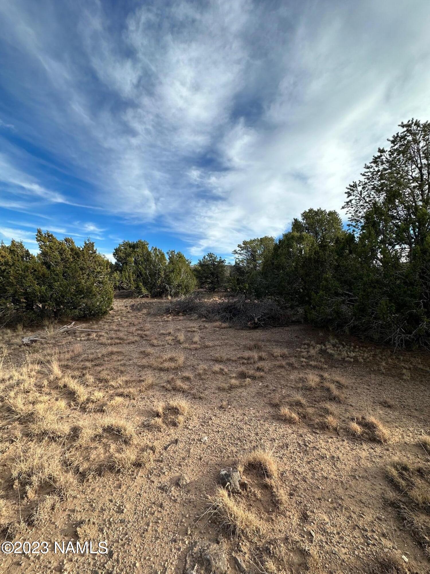 1094 East Cedar Road Williams, AZ 86046 - Photo 4 of 7 8 Cedar Wash