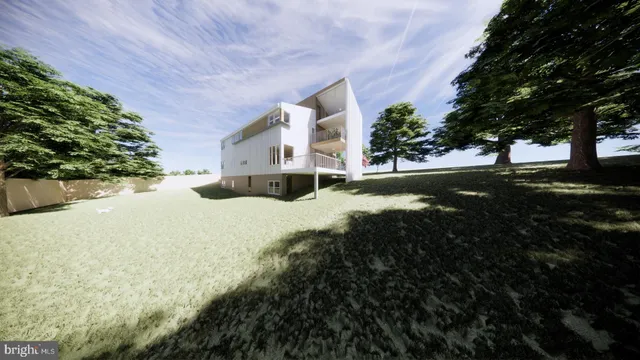 a view of a yard with plants