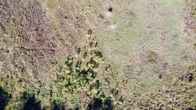 $370,637 | 4325 Omaha Tx 75571, Omaha, TX 75571