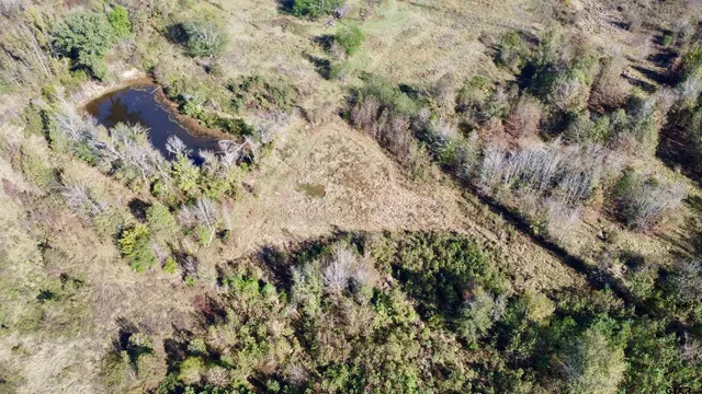 $370,637 | 4325 Omaha Tx 75571, Omaha, TX 75571