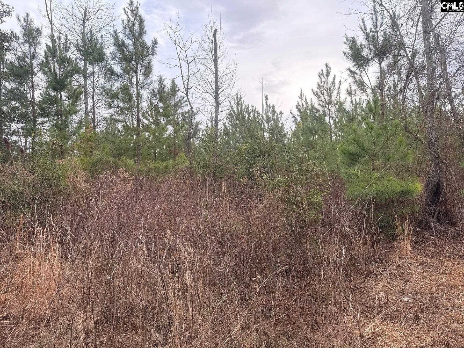 9 Quattlebaum Road, Unit QBF 9 Leesville, SC 29070 - Photo 4 of 12