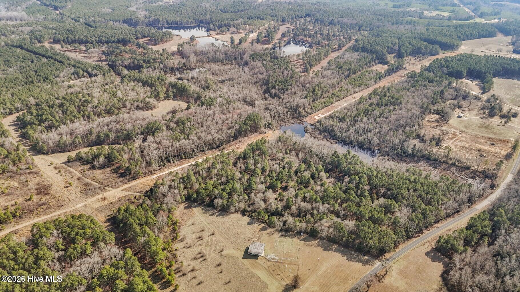 Tbd Hamer Mill Road Rockingham, NC 28379 - Photo 19 of 19 hm19