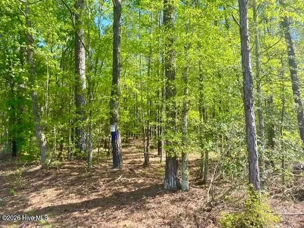 $763,900 | Tbd Hamer Mill Road, Rockingham, NC 28379