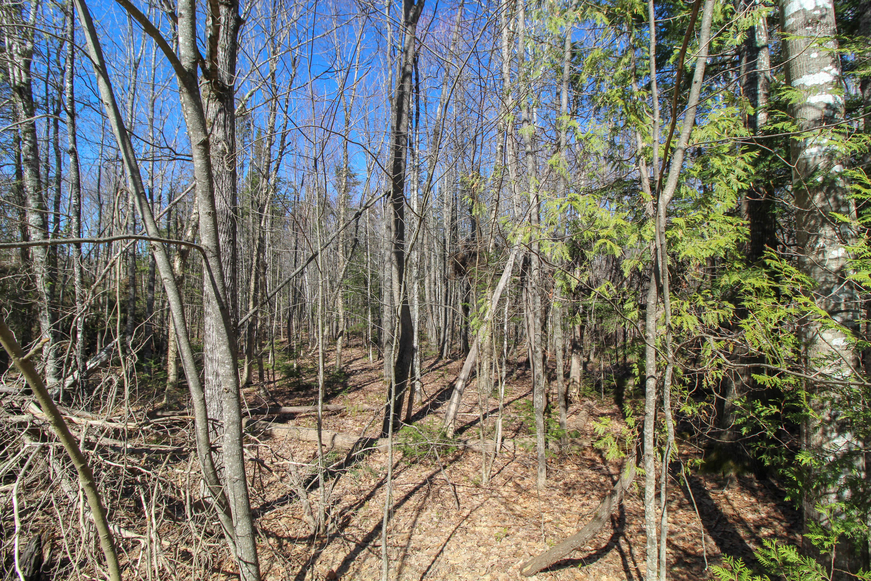 Lot 68 Kennebec Road Hampden, ME 04444 - Photo 23 of 39 Interior