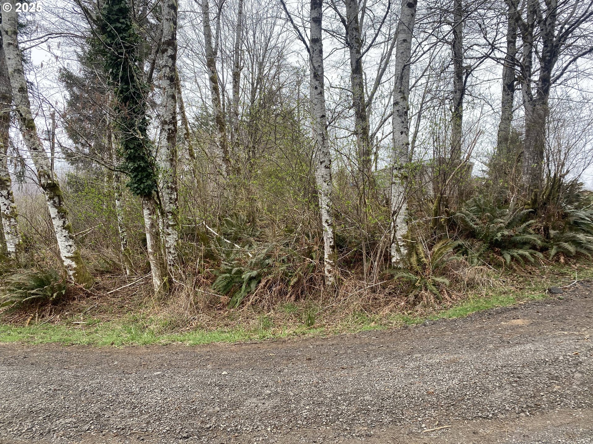 0 Elderberry Road Seaside, OR 97138 - Photo 16 of 20 a view of backyard space