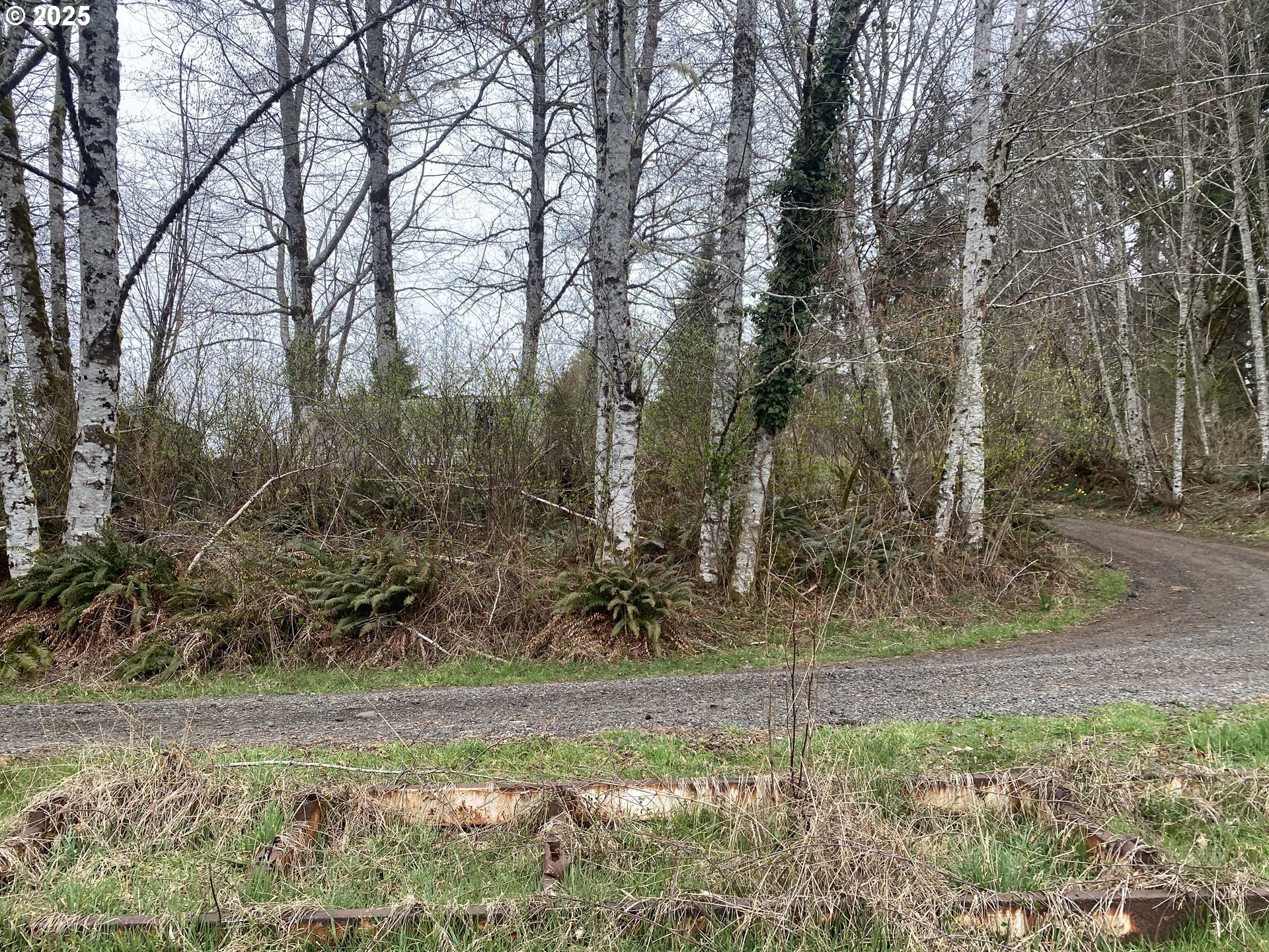 0 Elderberry Road Seaside, OR 97138 - Photo 17 of 20 a view of a yard