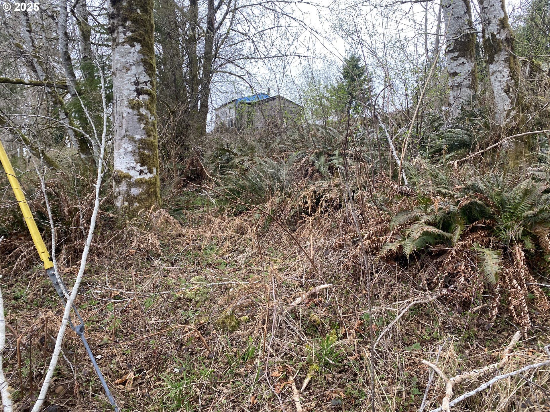 0 Elderberry Road Seaside, OR 97138 - Photo 19 of 20 a view of a yard with a tree