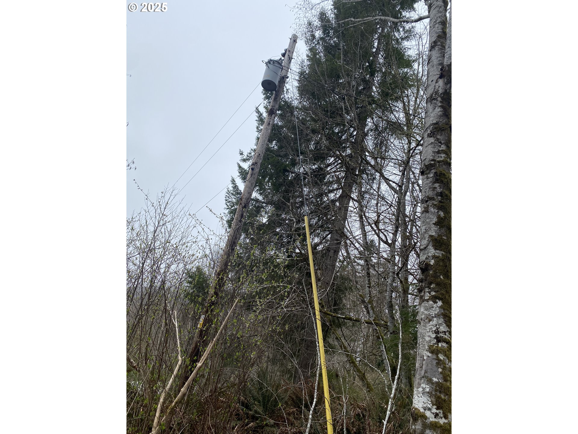 0 Elderberry Road Seaside, OR 97138 - Photo 20 of 20