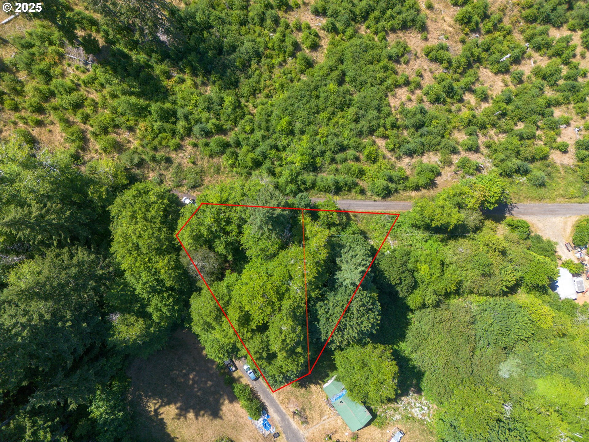 0 Elderberry Road Seaside, OR 97138 - Photo 3 of 20 a view of a garden