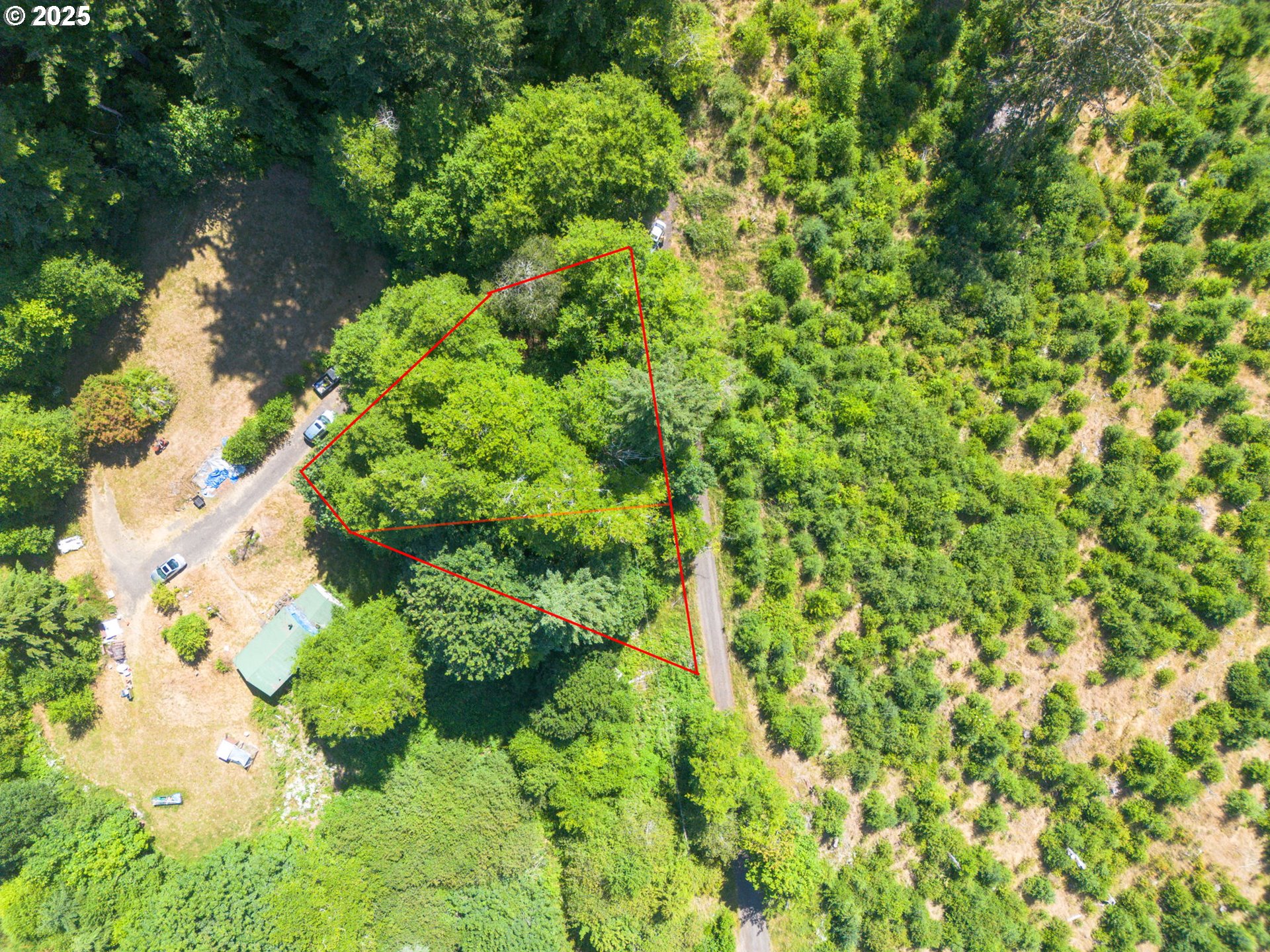 0 Elderberry Road Seaside, OR 97138 - Photo 4 of 20 a view of a garden