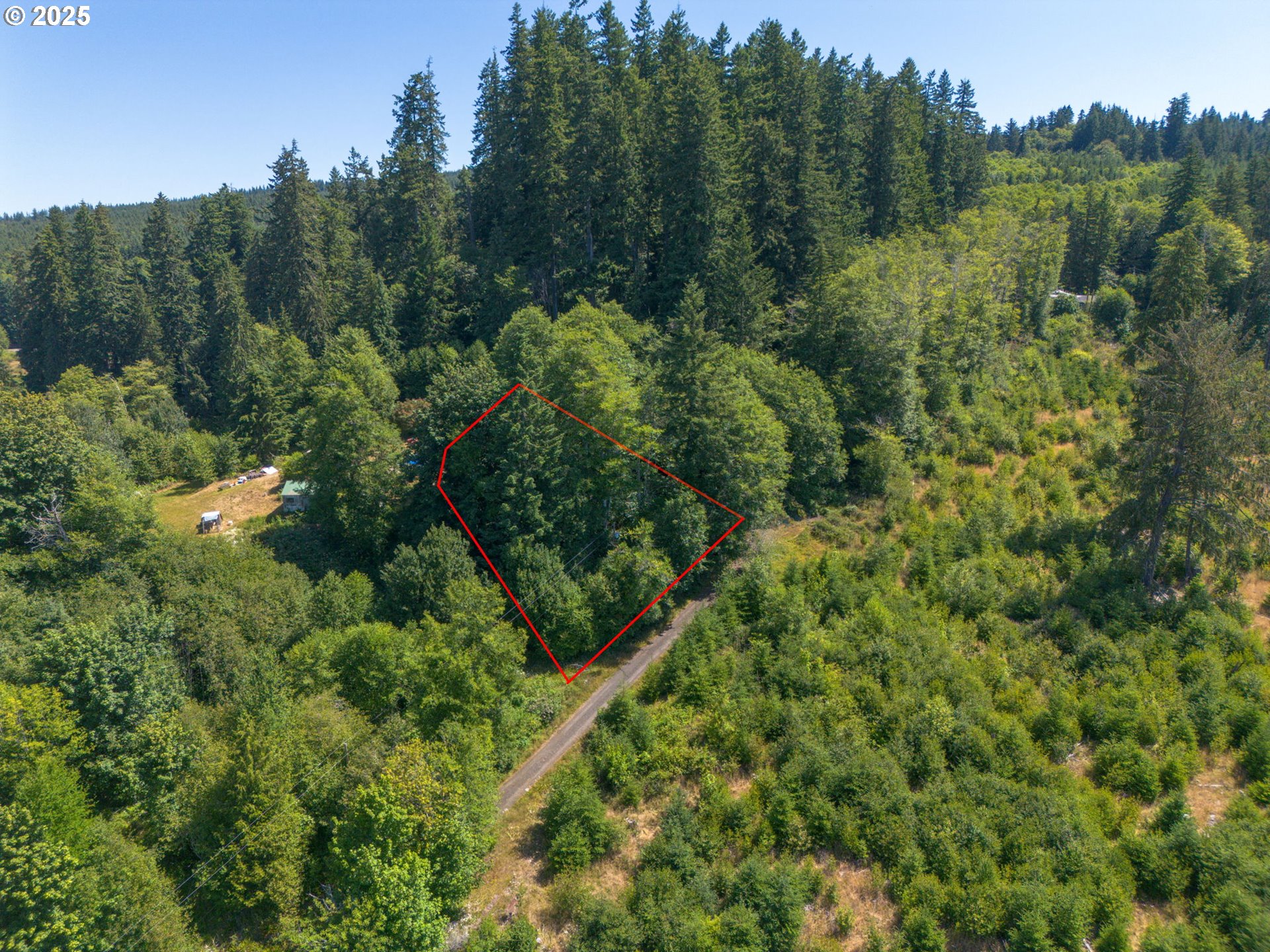0 Elderberry Road Seaside, OR 97138 - Photo 9 of 20 a view of a forest with a street
