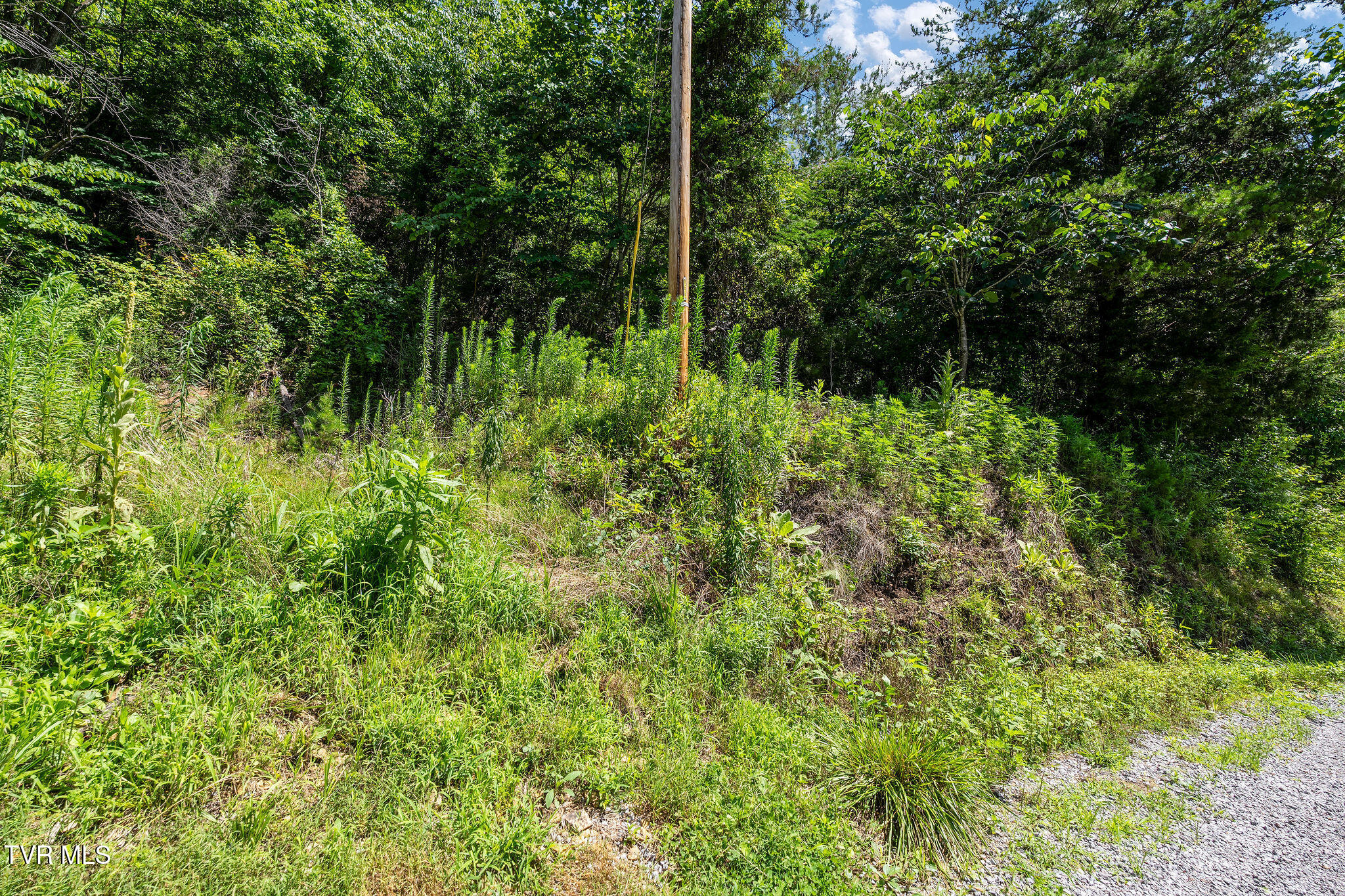 582 Brooks Road Sneedville, TN 37869 - Photo 20 of 27 DSC07290