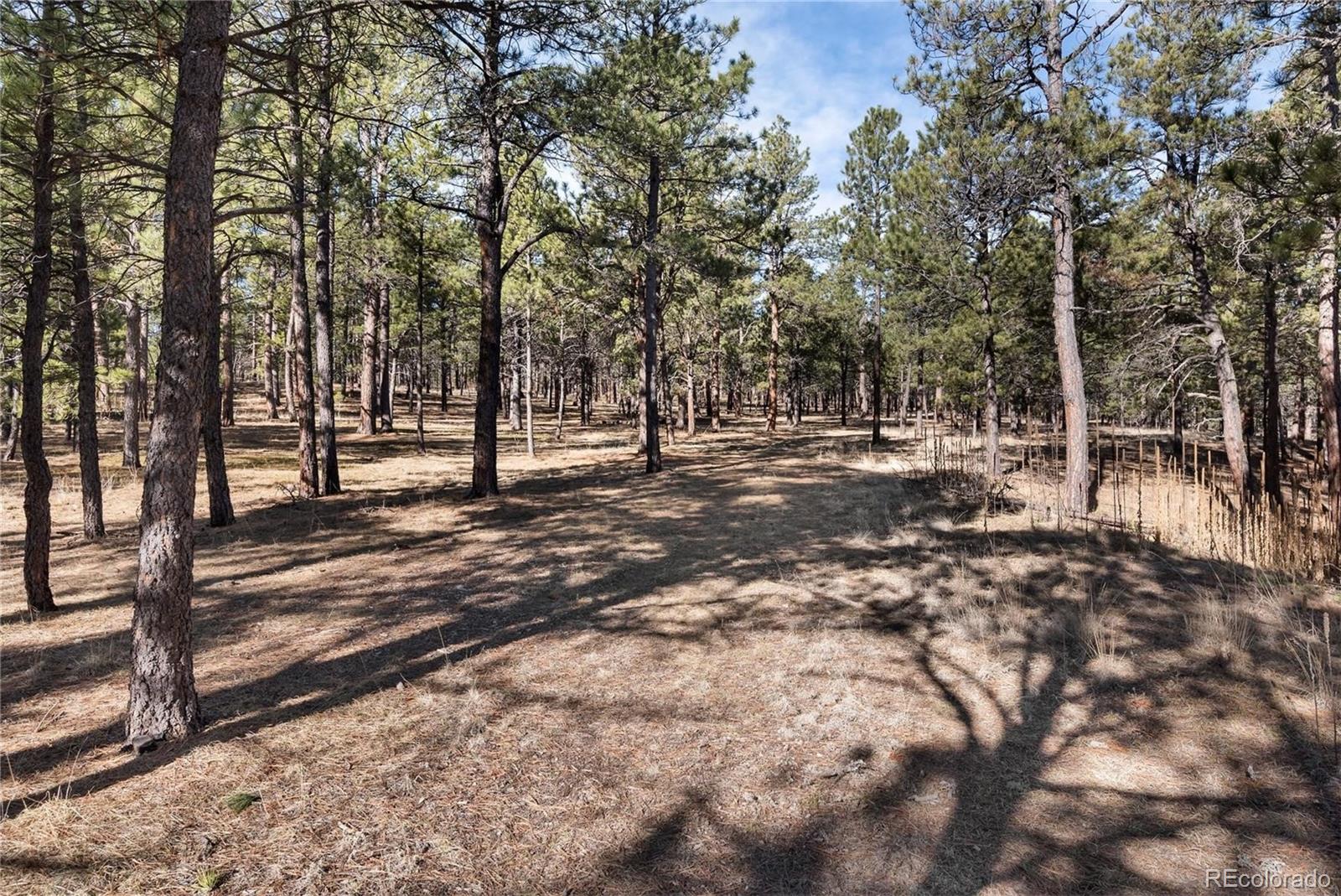 South Meridian Road Colorado Springs, CO 80908 - Photo 23 of 40 a view of road with trees