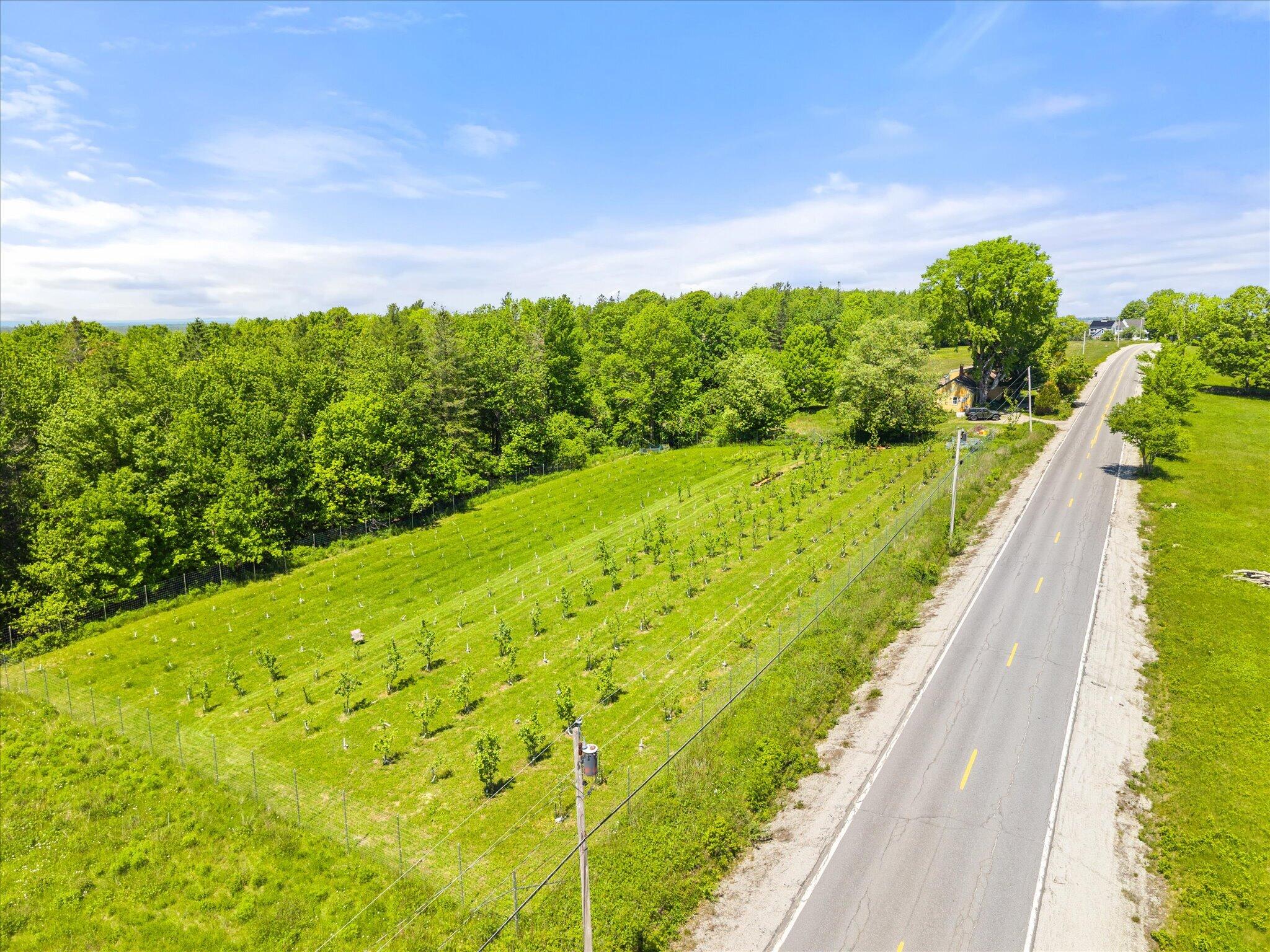468 Hinckley Ridge Road Blue Hill, ME 04614 - Photo 65 of 74 76-468 Hinkley Ridge Rd