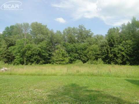 13254 North Clio Road Clio, MI 48420 - Photo 24 of 24 20443770-24.JPG