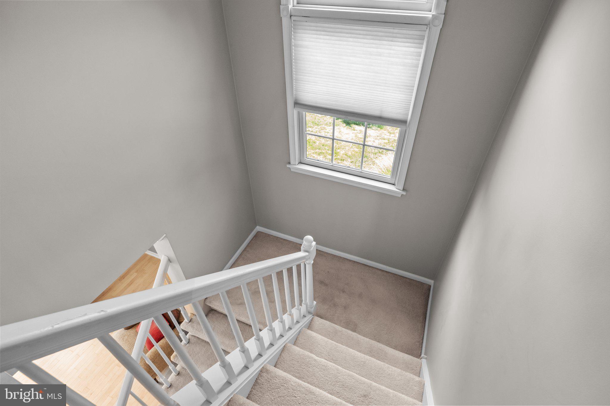 2 Ruby Court Newtown, PA 18940 - Photo 28 of 52