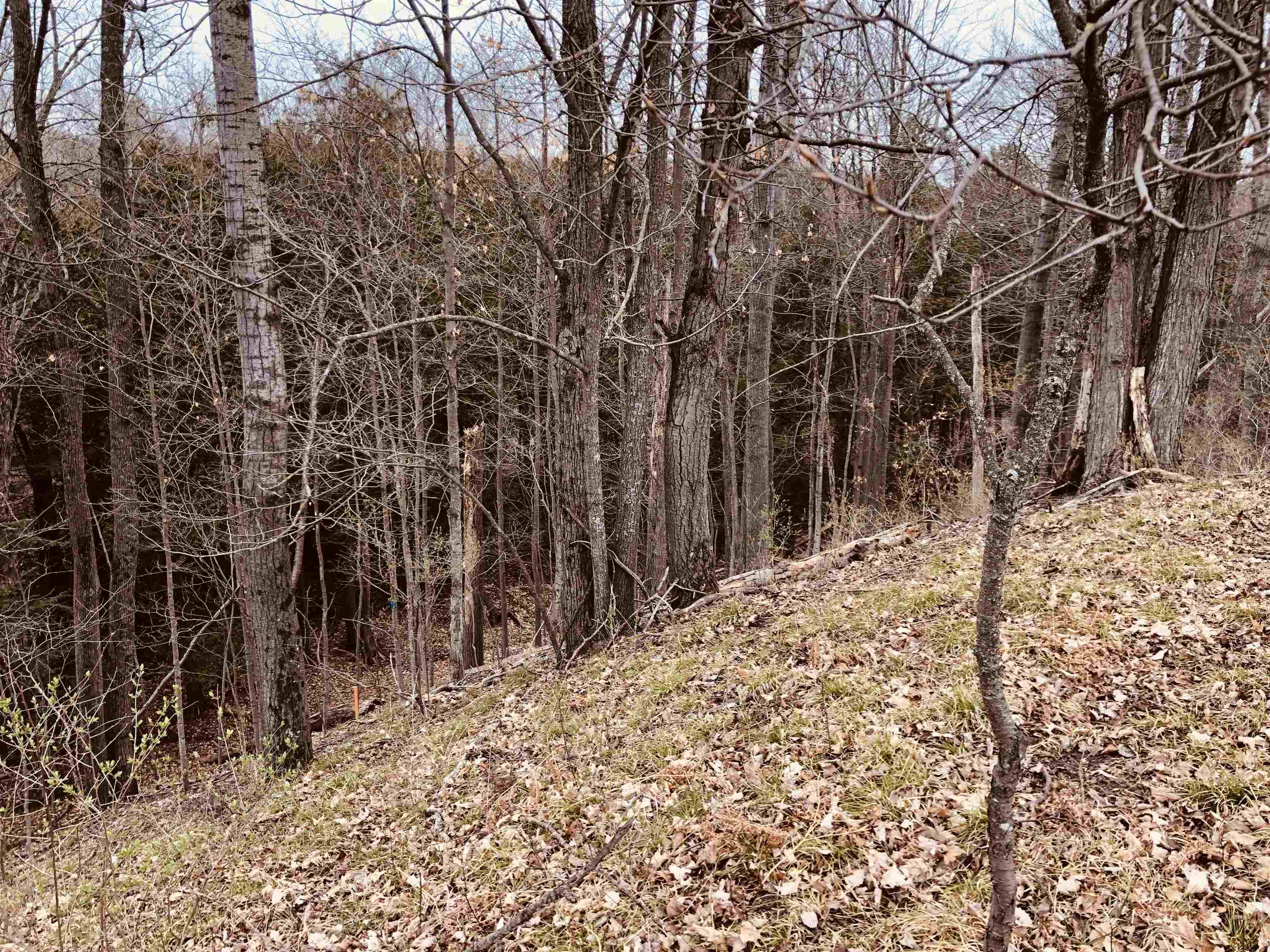 G Tomasek Road Thompsonville, MI 49683 - Photo 21 of 32 1919718-a6698970-a283-4a94-9594-fe7465ad0d17.JPG