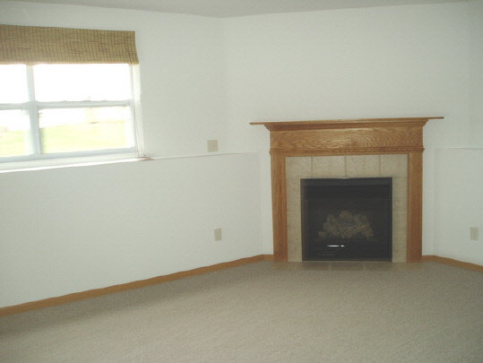 4192 Linden Road Rockford, IL 61109 - Photo 2 of 7 an empty room with a fireplace