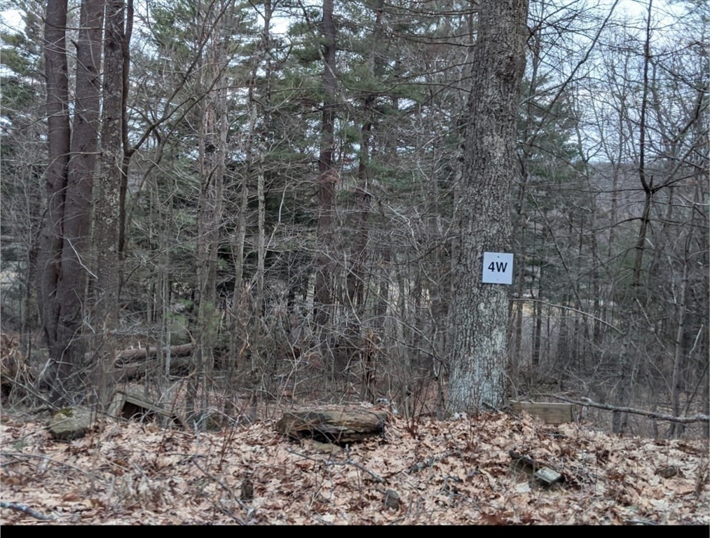 508 Old County Road Holland, MA 01521 - Photo 32 of 42 a brick building with a trees