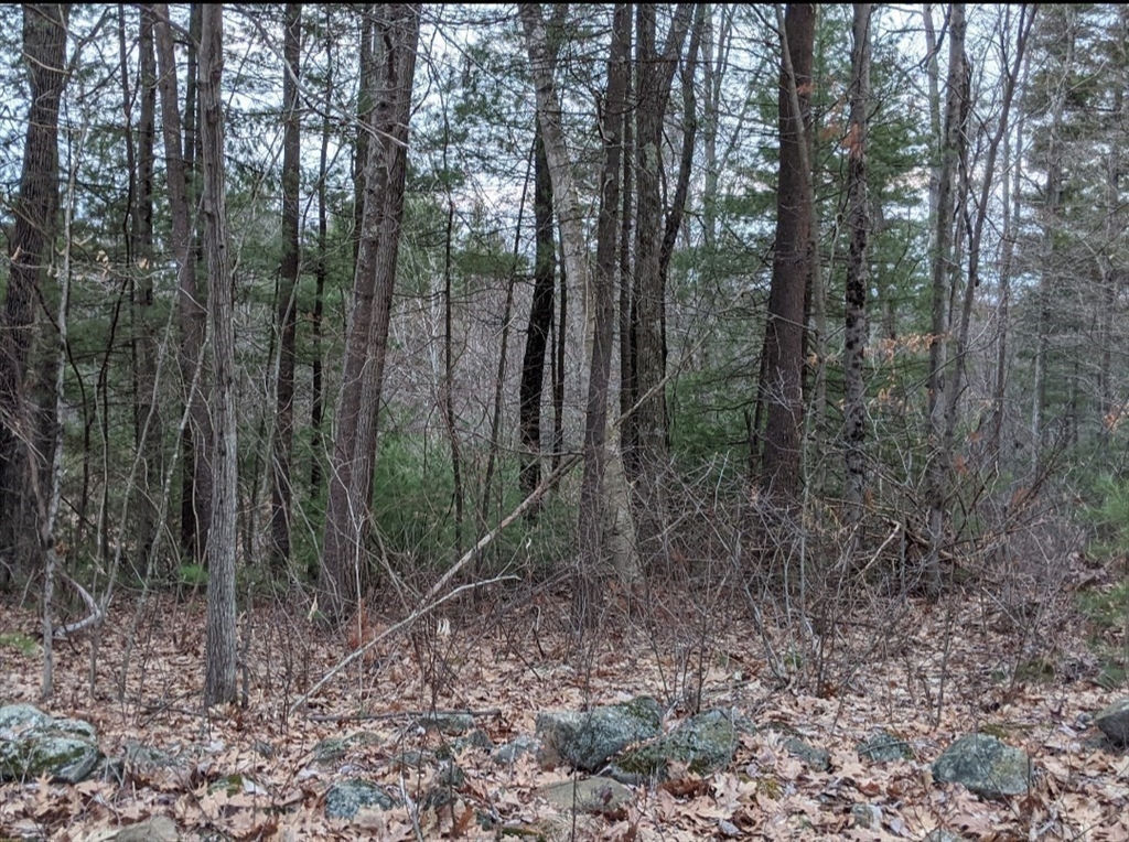508 Old County Road Holland, MA 01521 - Photo 33 of 42 a view of outdoor space and green space