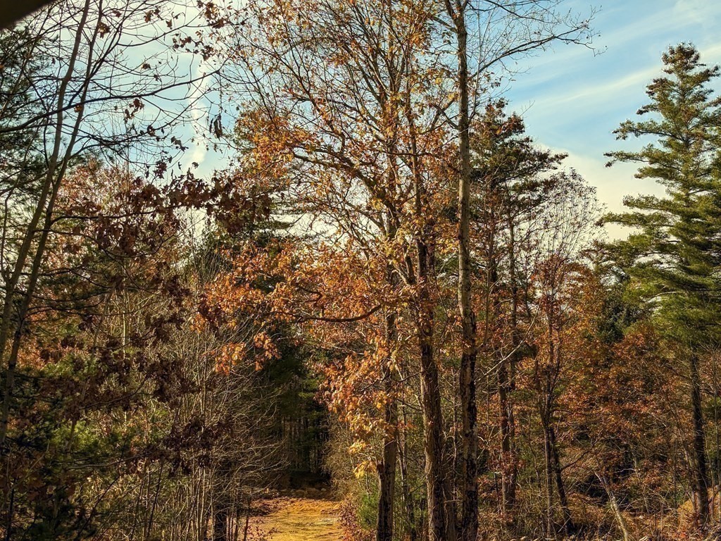 508 Old County Road Holland, MA 01521 - Photo 35 of 42